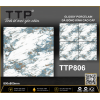 TTP806