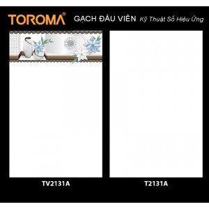 TV2131A