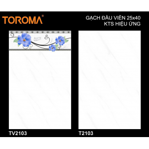 TV2103