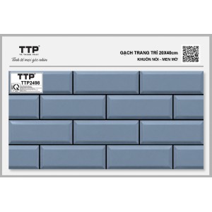 TTP2498