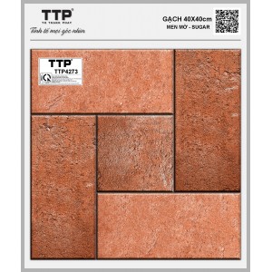 TTP4273