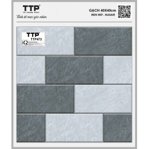 TTP473