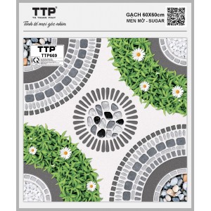 TTP669