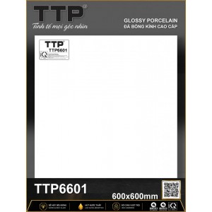 TTP6601