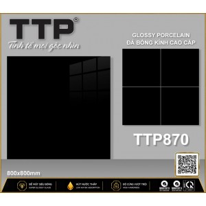 TTP870