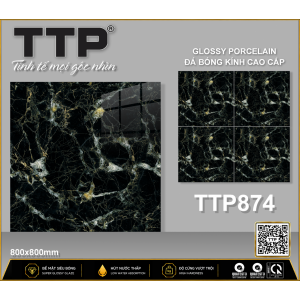 TTP874