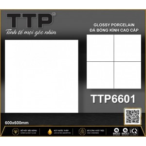 TTP6601