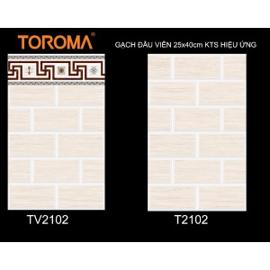 TV2102
