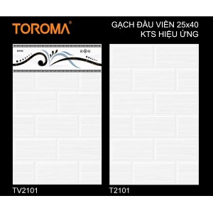 TV2101