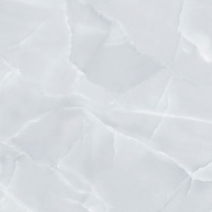 P5631