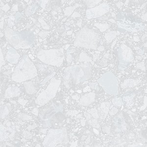 P5633