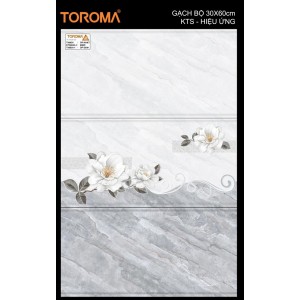 T36638