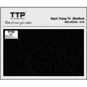 TTP205