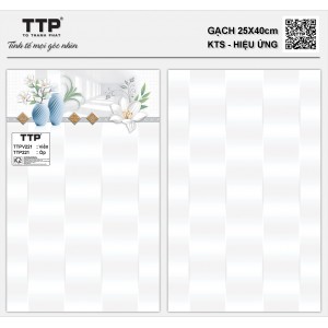 TTPV221