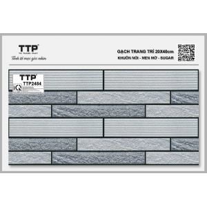  TTP2484