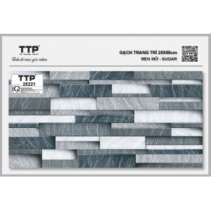 TTP25221