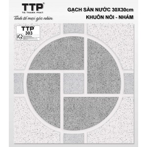 TTP303
