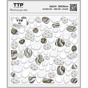TTP381