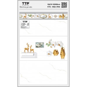 TTP38602