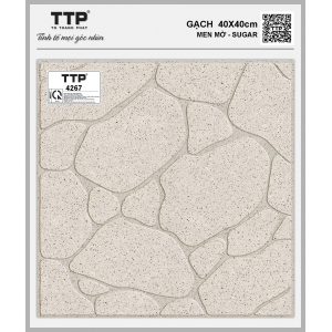 TTP4267