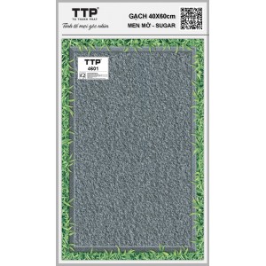 TTP4601