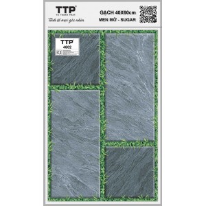 TTP4602
