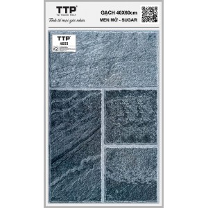 TTP4603