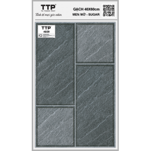 TTP4609