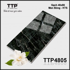 TTP4805