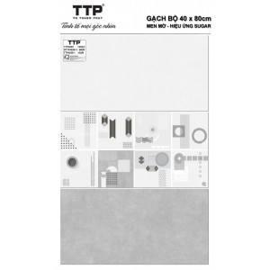 TTP4820