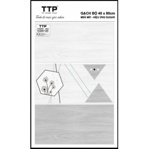 TTP4824