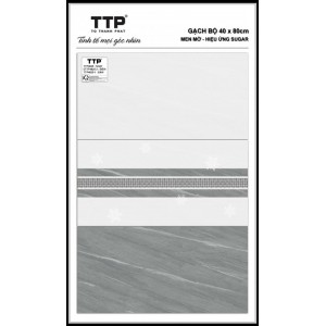 TTP4825