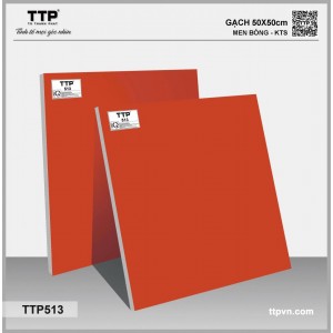 TTP513