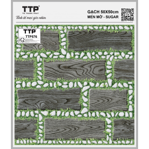 TTP576