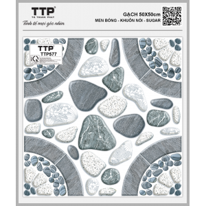 TTP577