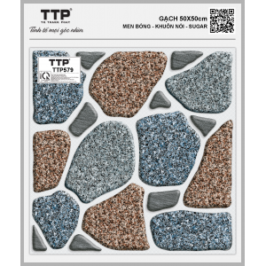 TTP579