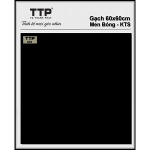 TTP602
