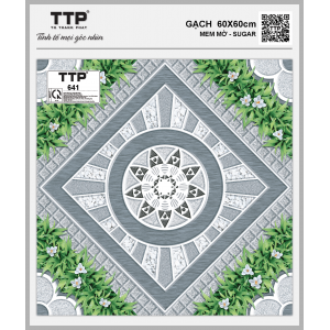 TTP641