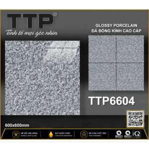 TTP6604