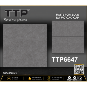 TTP6647