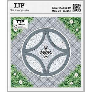 TTP668