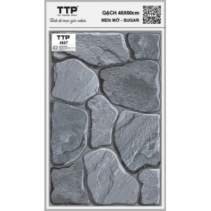 TTP4607