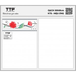 TTPV3420K