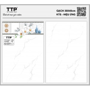 TTPV3421