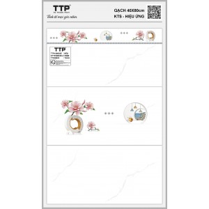 TTPV48603E