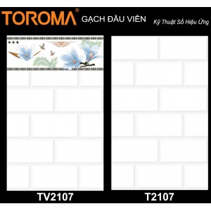 TV2107