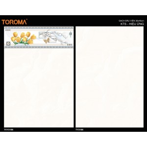 TVY3106
