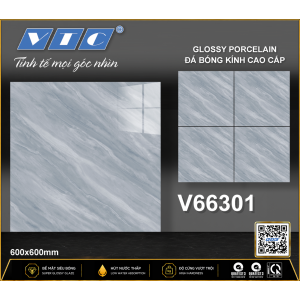 V66301