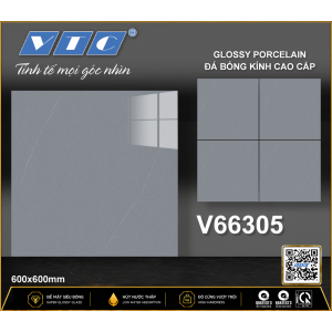 V66305