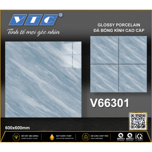 V66301